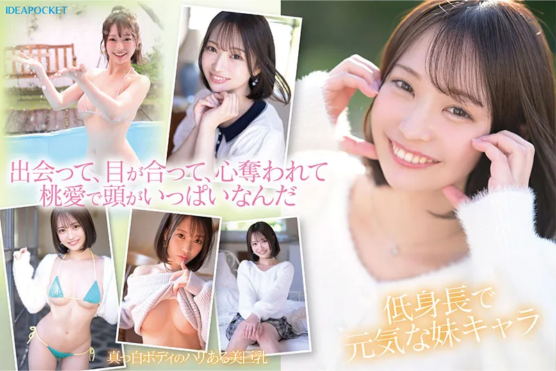 AV女優堀北桃愛